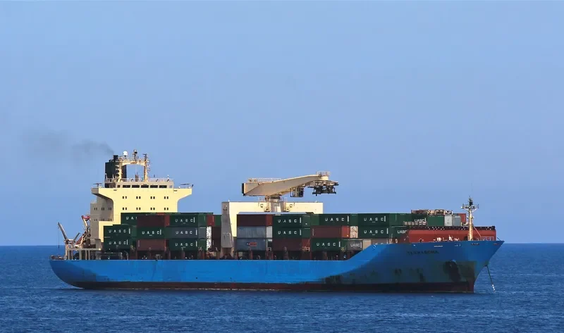 DRAGON Container Ship IMO 8820212 photo 3