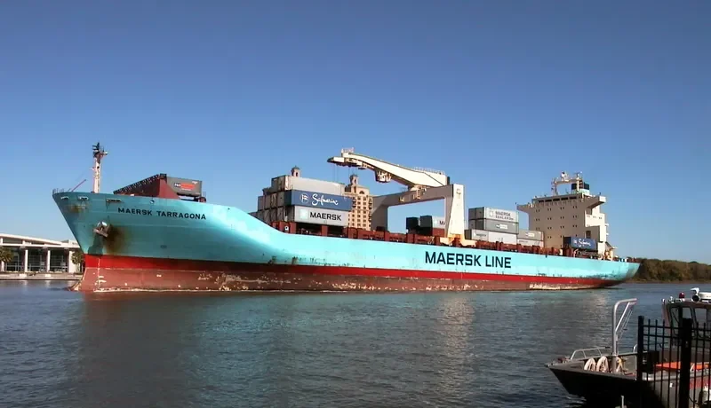 DRAGON Container Ship IMO 8820212 photo 8