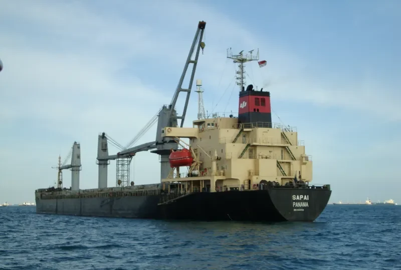 SAPAI General Cargo IMO 8820729 photo 3
