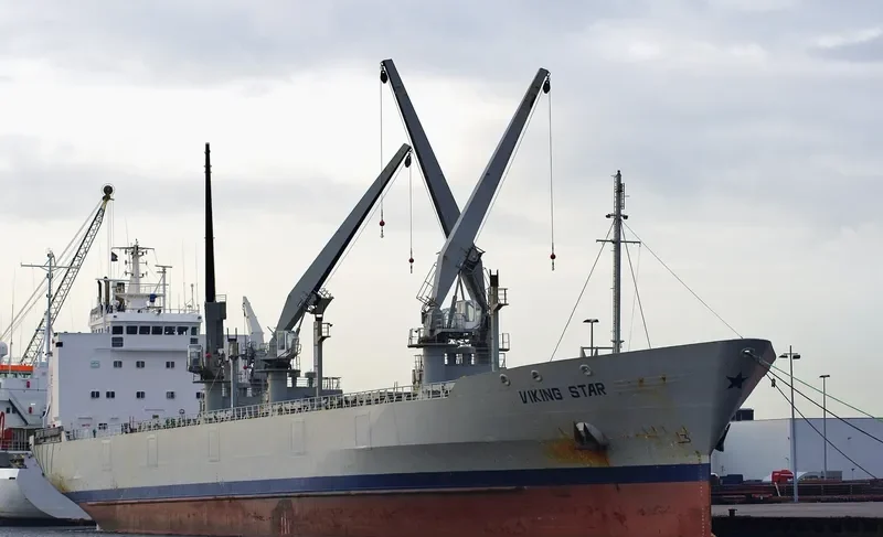 VIKING STAR General Cargo IMO 8821864 photo 4