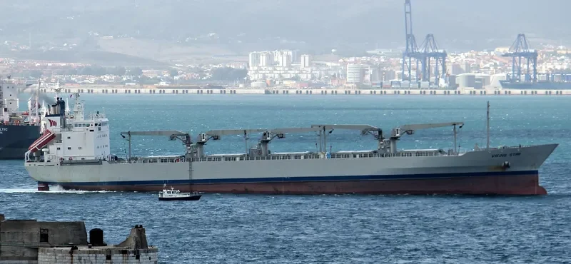 VIKING STAR General Cargo IMO 8821864 photo 5