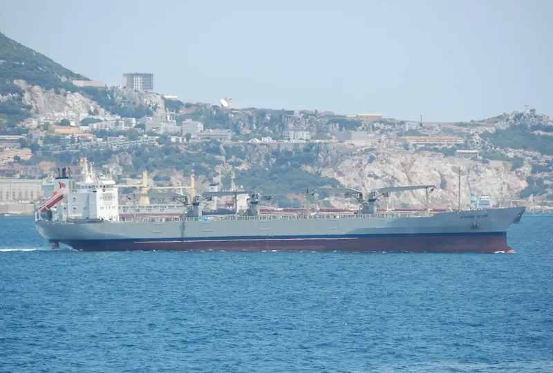 VIKING STAR General Cargo IMO 8821864 photo 7