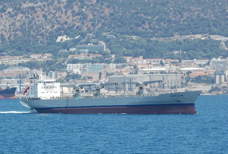 VIKING STAR General Cargo IMO 8821864 photo 8