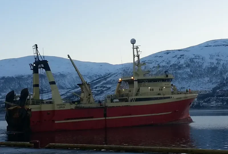 ARCTIC LION General Cargo IMO 8822375 photo 4
