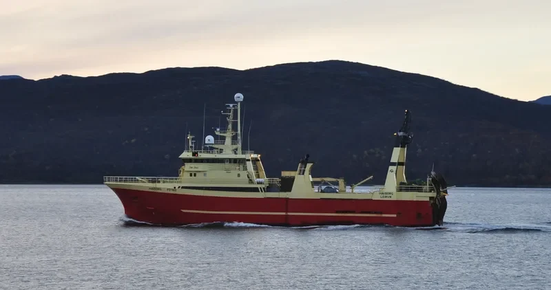 ARCTIC LION General Cargo IMO 8822375 photo 5