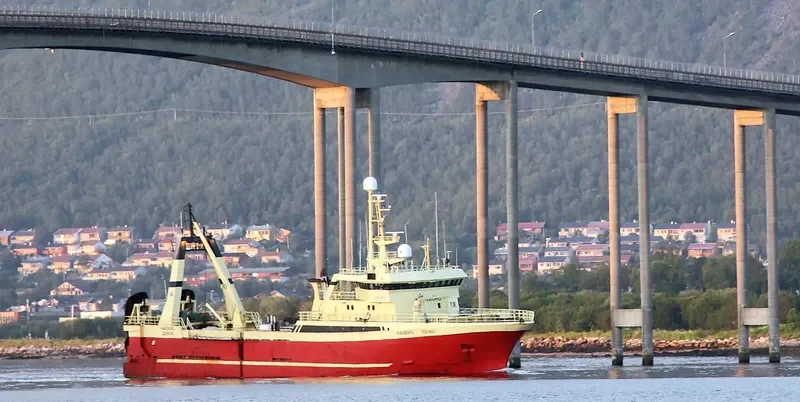 ARCTIC LION General Cargo IMO 8822375 photo 7