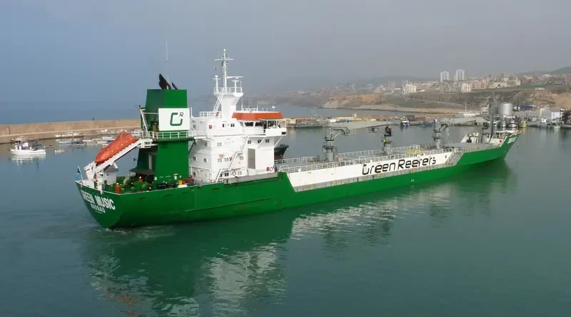 GREEN MUSIC General Cargo IMO 8822595 photo 3