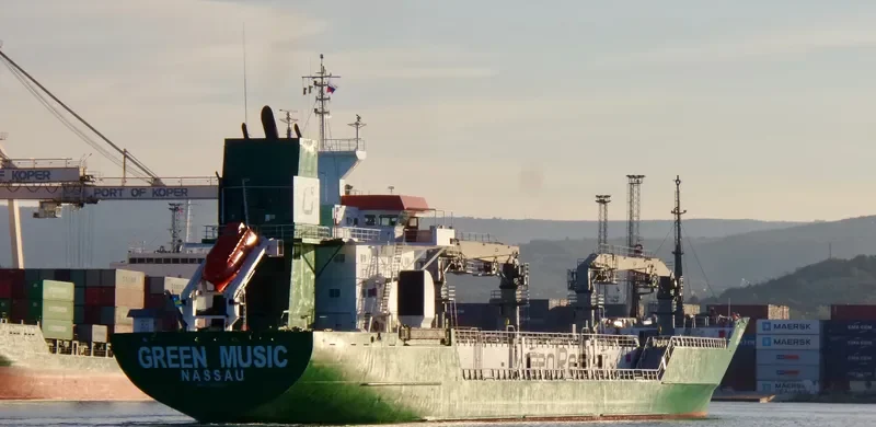 GREEN MUSIC General Cargo IMO 8822595 photo 5