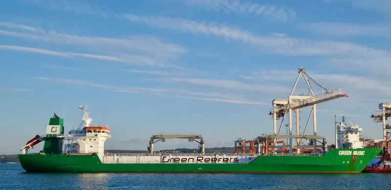 GREEN MUSIC General Cargo IMO 8822595 photo 7
