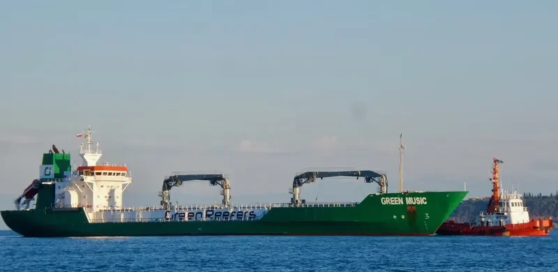 GREEN MUSIC General Cargo IMO 8822595 photo 8