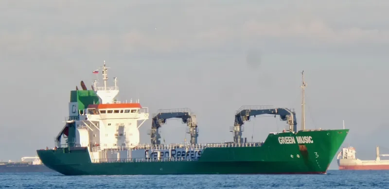 GREEN MUSIC General Cargo IMO 8822595 photo 9