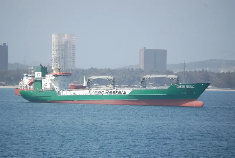 GREEN MUSIC General Cargo IMO 8822595 photo 10