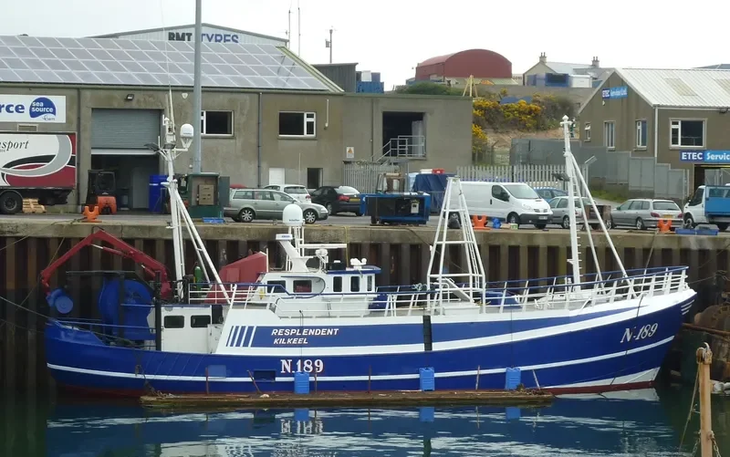 GV RESPLENDENT General Cargo IMO 8825341 photo 2