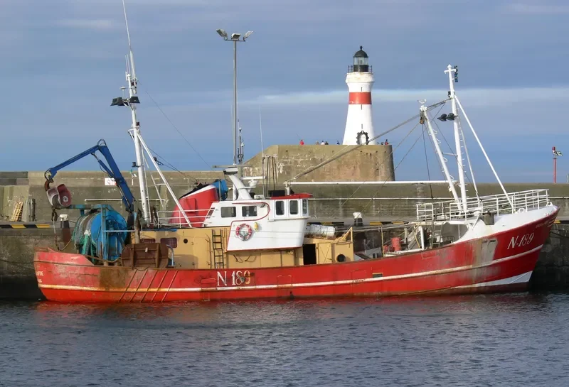 GV RESPLENDENT General Cargo IMO 8825341 photo 6