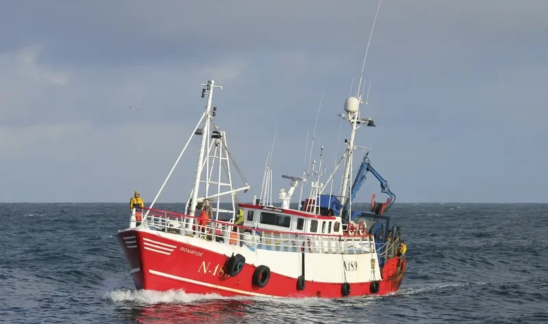 GV RESPLENDENT General Cargo IMO 8825341 photo 9