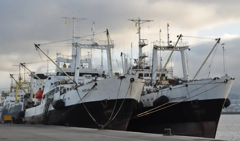 OLUTORSKY General Cargo IMO 8826151 photo 2