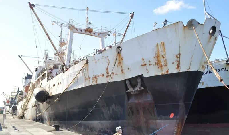 OLUTORSKY General Cargo IMO 8826151 photo 3