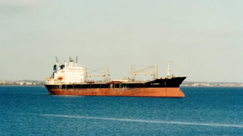 HAIYANGZHIXING Bulk Carrier IMO 8834586