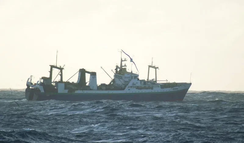 IRVINGA General Cargo IMO 8834639 photo 5