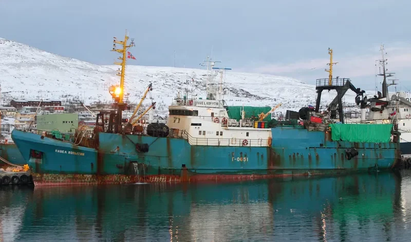 PAVEL KOPYTIN General Cargo IMO 8834665