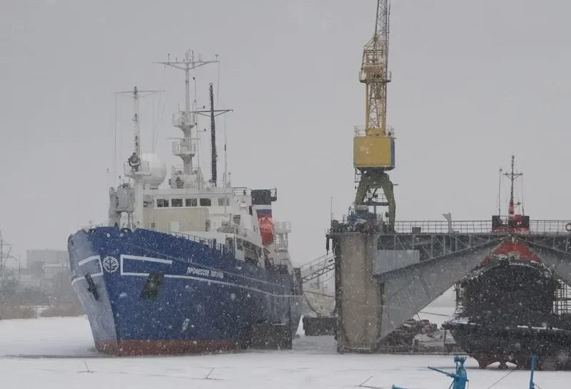PROFESSOR LOGACHEV General Cargo IMO 8834691 photo 4