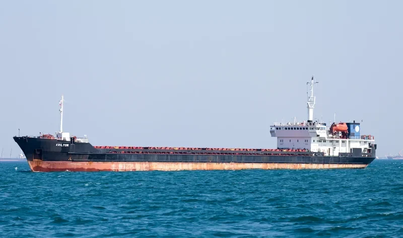 KRILYON General Cargo IMO 8837813 photo 5
