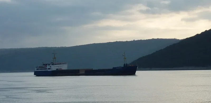 VALERIY ONISCHUK General Cargo IMO 8841503 photo 7