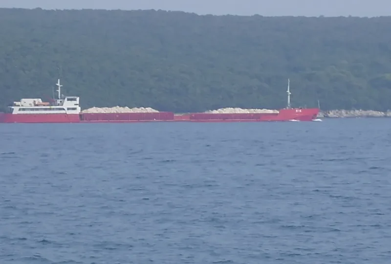 DANIELA I General Cargo IMO 8841515 photo 4