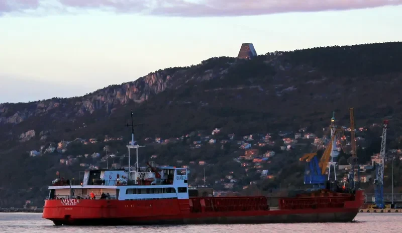 DANIELA I General Cargo IMO 8841515 photo 7