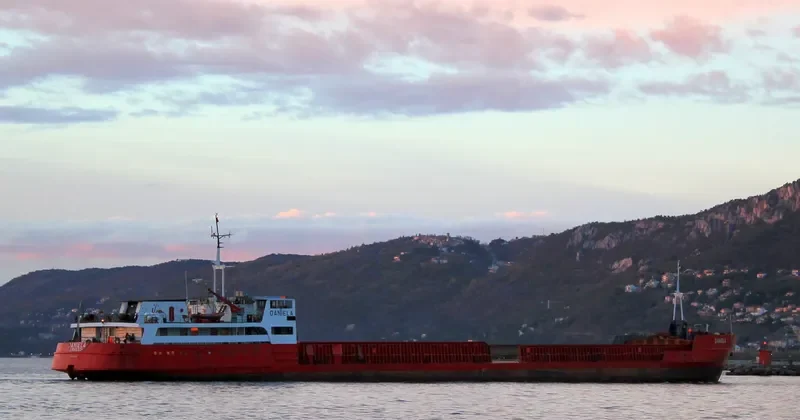 DANIELA I General Cargo IMO 8841515 photo 8