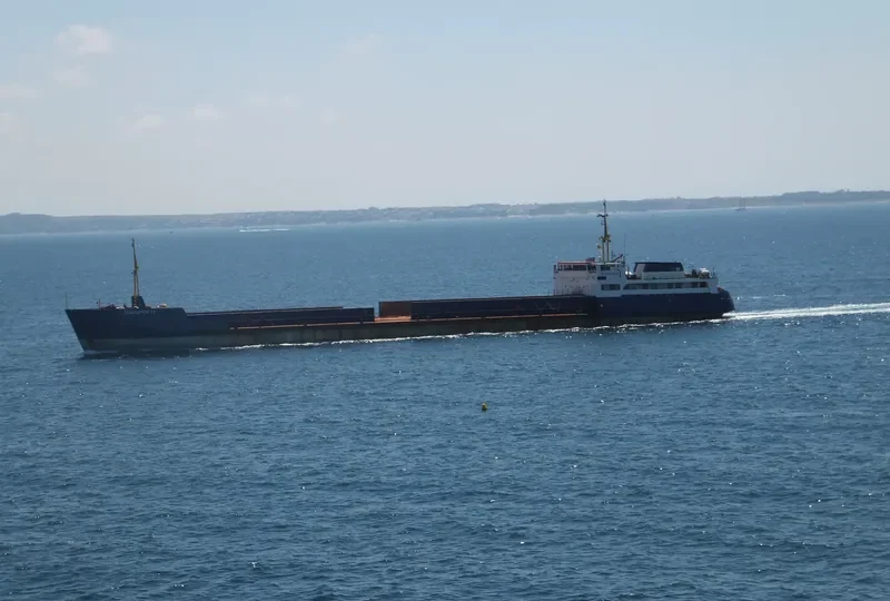 SLAVUTICH 13 General Cargo IMO 8841527 photo 10
