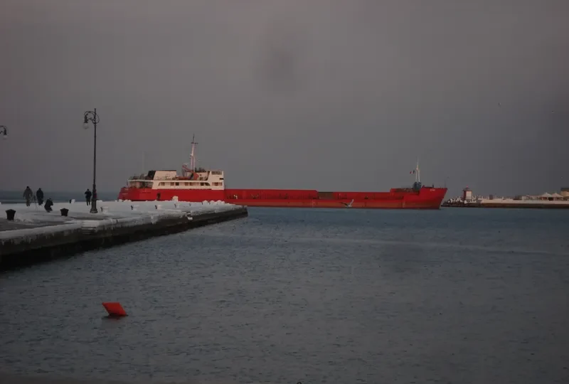 IRTYSH General Cargo IMO 8841539 photo 10