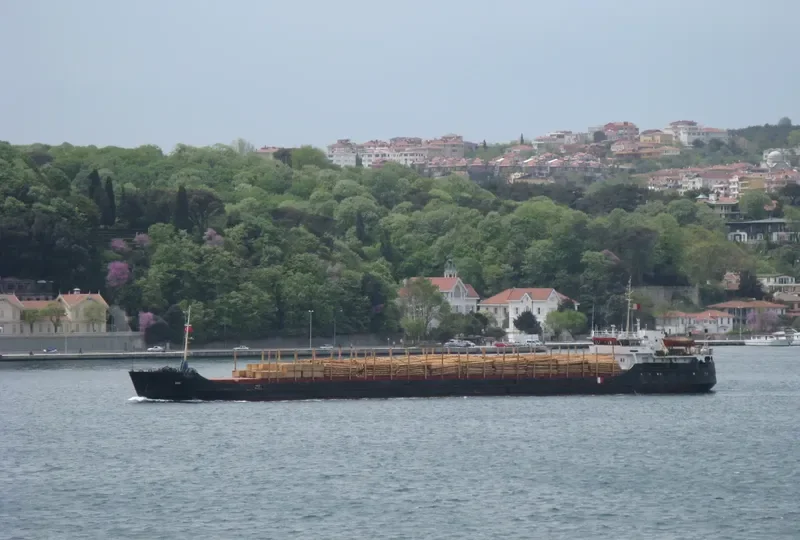 DAY General Cargo IMO 8841591 photo 3