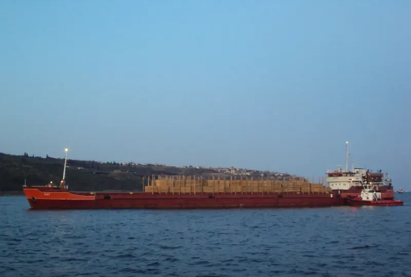 DAY General Cargo IMO 8841591 photo 10