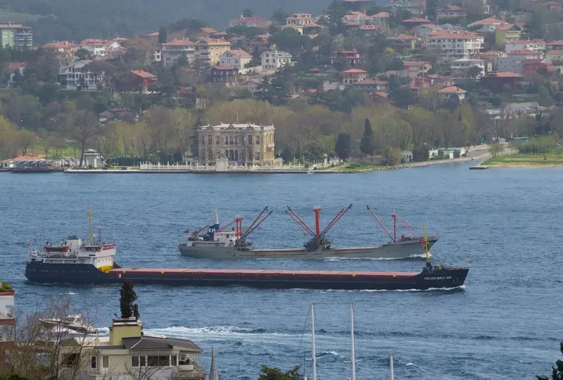 VOLGO BALT 226 General Cargo IMO 8841711 photo 6