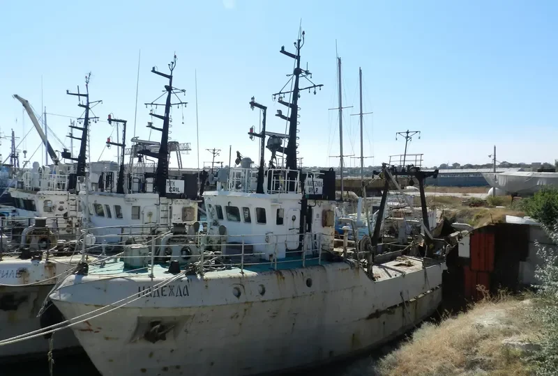 NADEZHDA General Cargo IMO 8842870