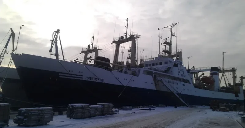 NIVENSKOYE General Cargo IMO 8843018 photo 2