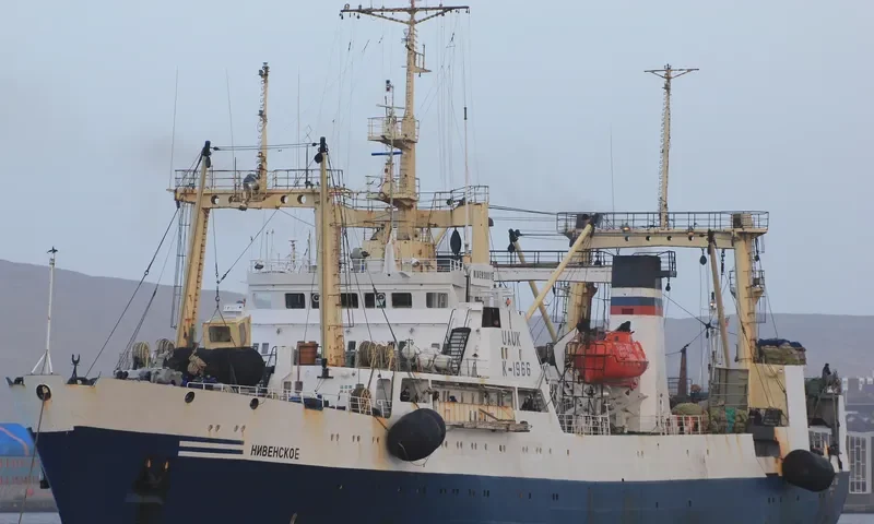 NIVENSKOYE General Cargo IMO 8843018 photo 5