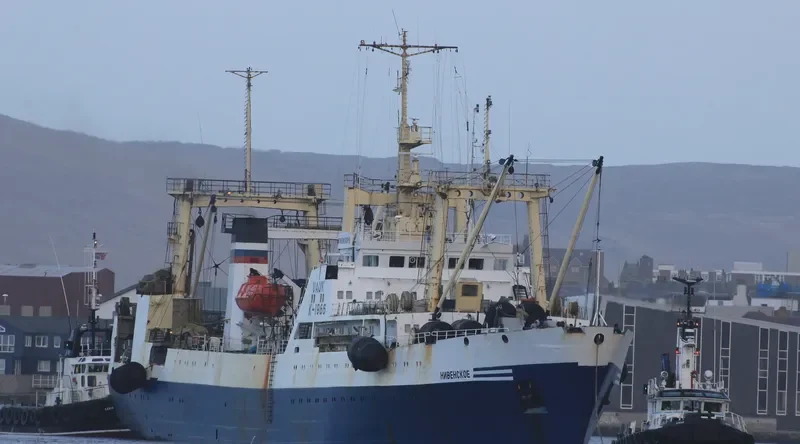 NIVENSKOYE General Cargo IMO 8843018 photo 6