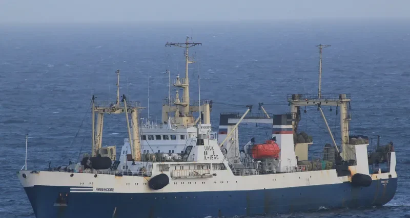 NIVENSKOYE General Cargo IMO 8843018 photo 7