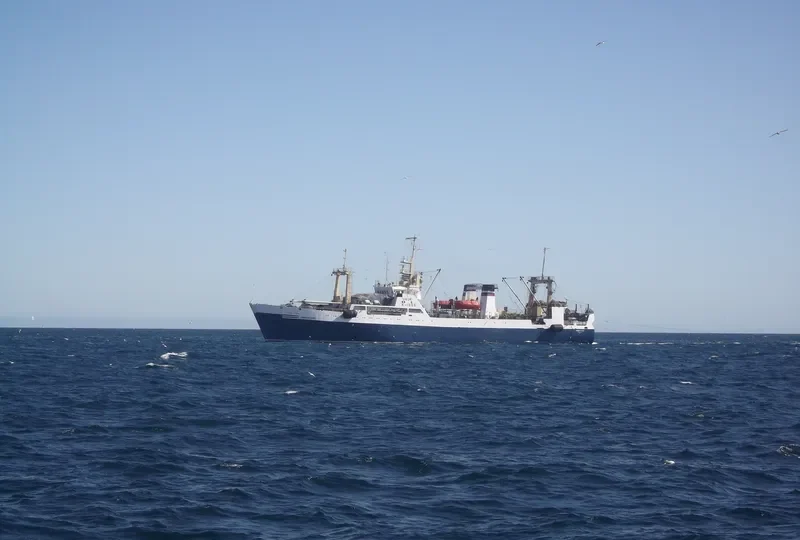 NIVENSKOYE General Cargo IMO 8843018 photo 9