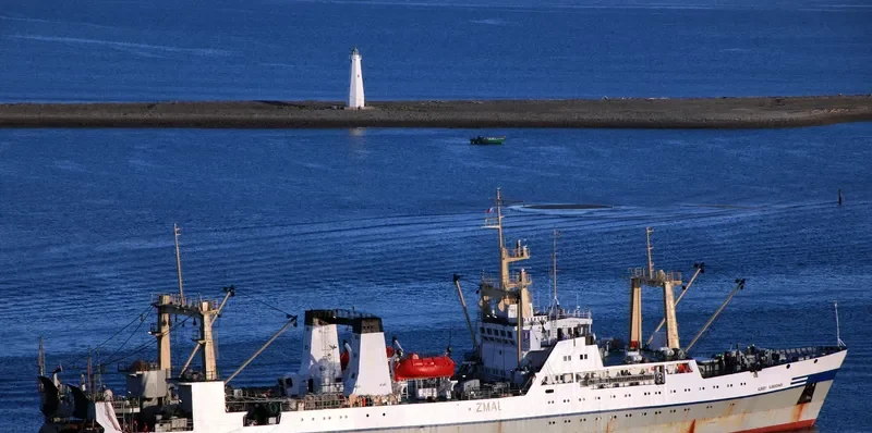ALEKSEY SLOBODCHIKOV General Cargo IMO 8845640 photo 6