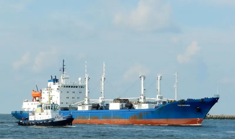 FRIO MURMANSK General Cargo IMO 8845717 photo 7