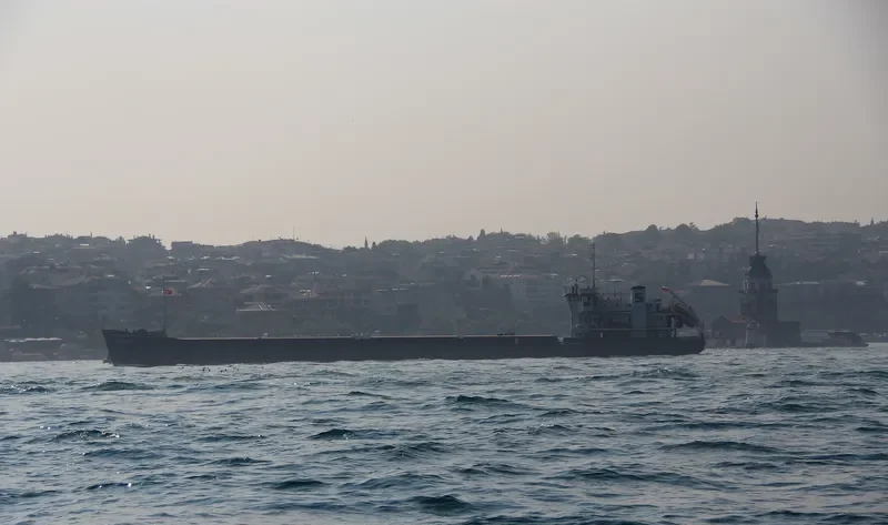 OMSKIY 136 General Cargo IMO 8846761 photo 2