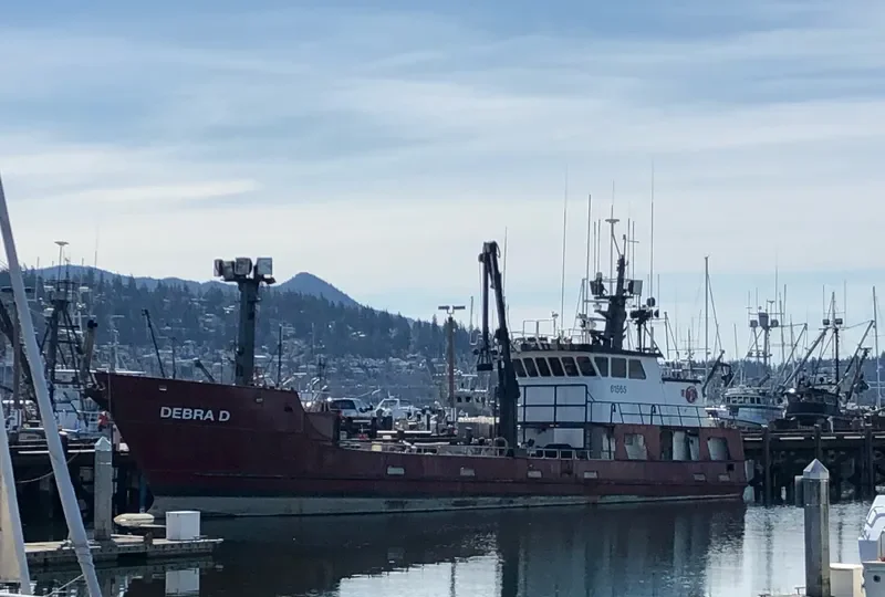 DEBRA D General Cargo IMO 8851479 photo 4