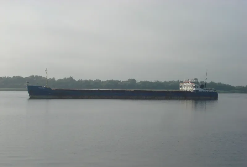PALLADIY General Cargo IMO 8856261