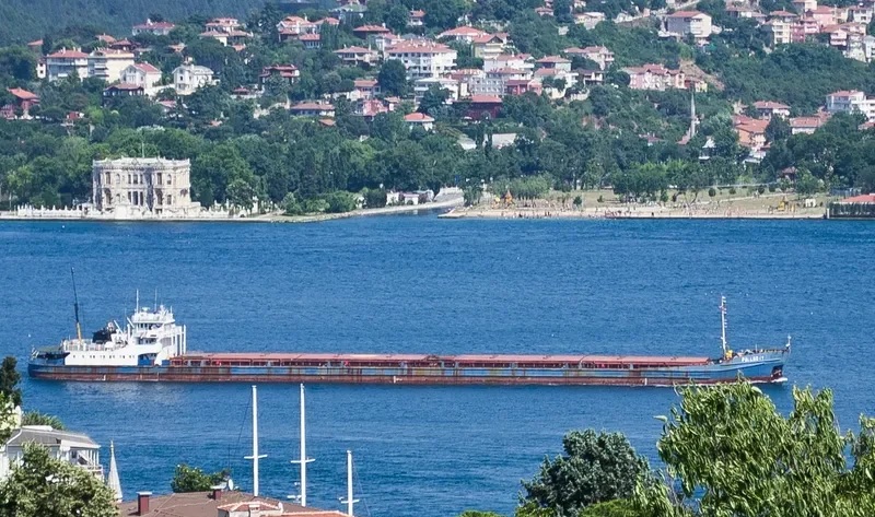 PALLADIY General Cargo IMO 8856261 photo 2