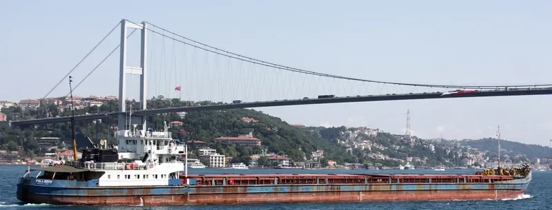 PALLADIY General Cargo IMO 8856261 photo 3