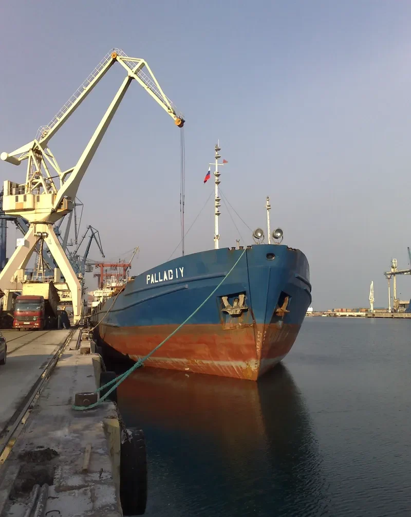 PALLADIY General Cargo IMO 8856261 photo 4