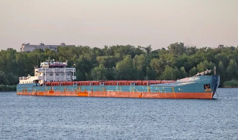 PALLADIY General Cargo IMO 8856261 photo 7